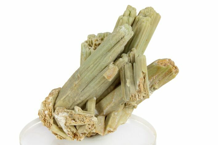 Sage-Green Plumbogummite After Pyromorphite -Yangshuo Mine, China #257025